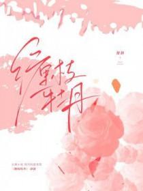 缠枝牡丹一年开几次花